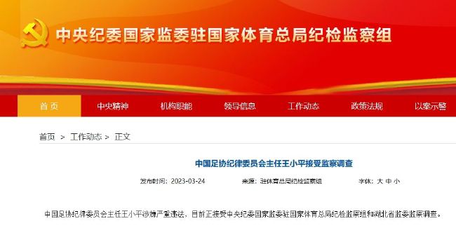 国产精品免费久久久久影院小说