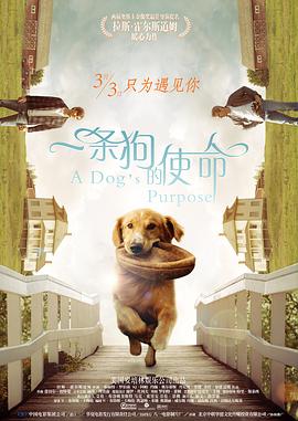 一区二区黄色