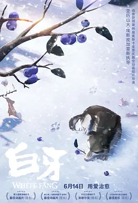 国产日韩精品一区二区在线观看播放