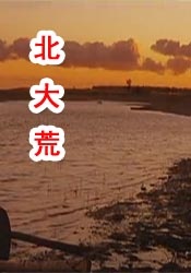 韩国美女丝袜一区二区