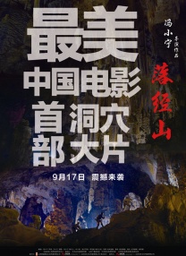 久久草精品