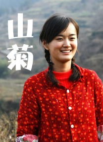 姨妈和单身汉