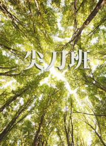 高清色黄毛片一级毛片